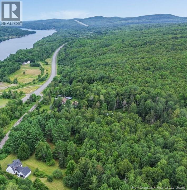 Photo of Listing #NB127670