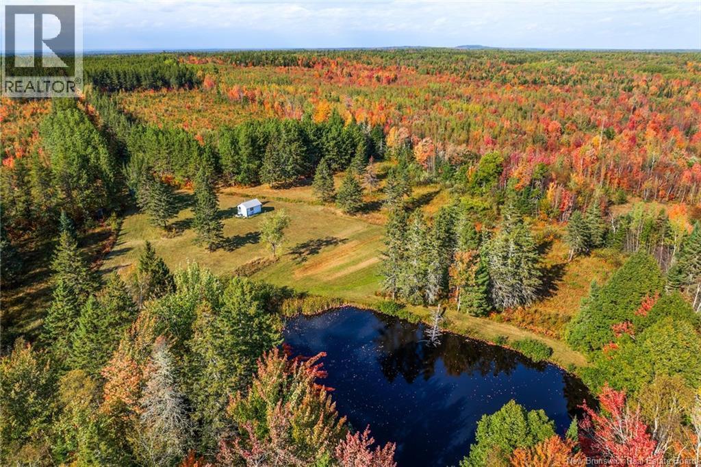 Photo of Listing #NB127283