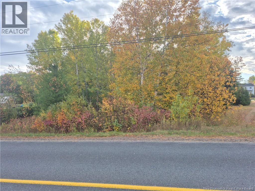Photo of Listing #NB127706