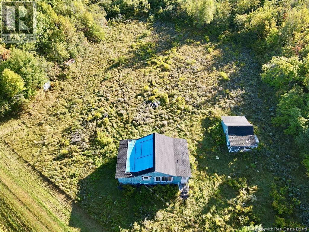 Photo of Listing #NB126135