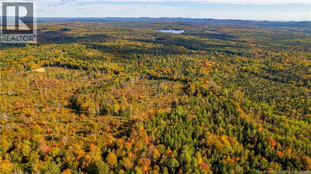 Photo of Listing #NB127781