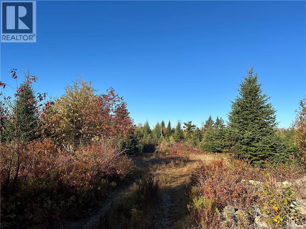 Photo of Listing #NB127828