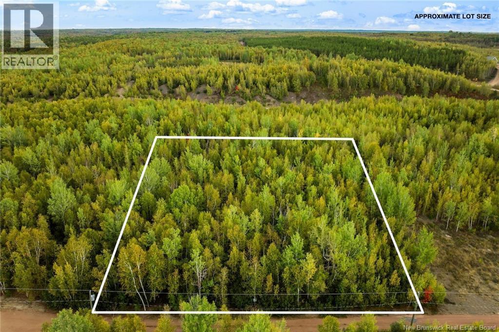 Photo of Listing #NB127824