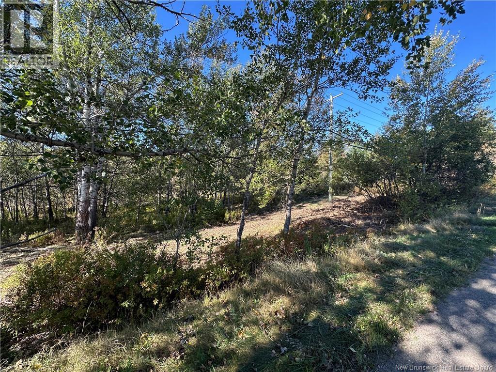 Photo of Listing #NB127831