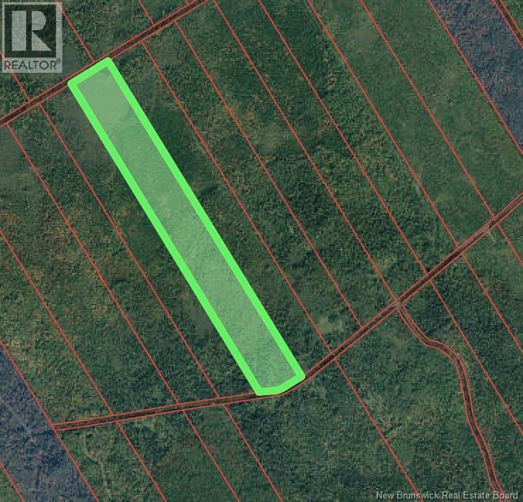 Photo of Listing #NB127899