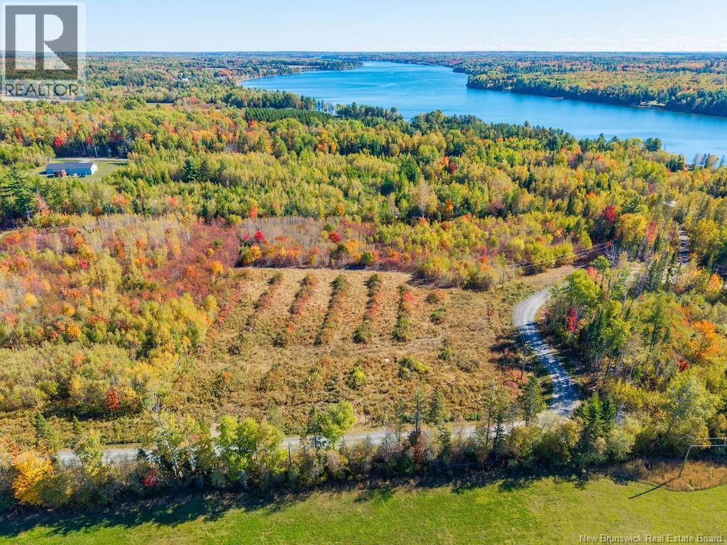 Photo of Listing #NB127958