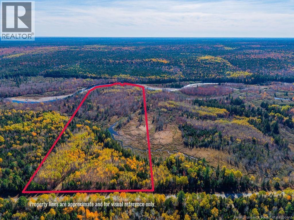 Photo of Listing #NB127804