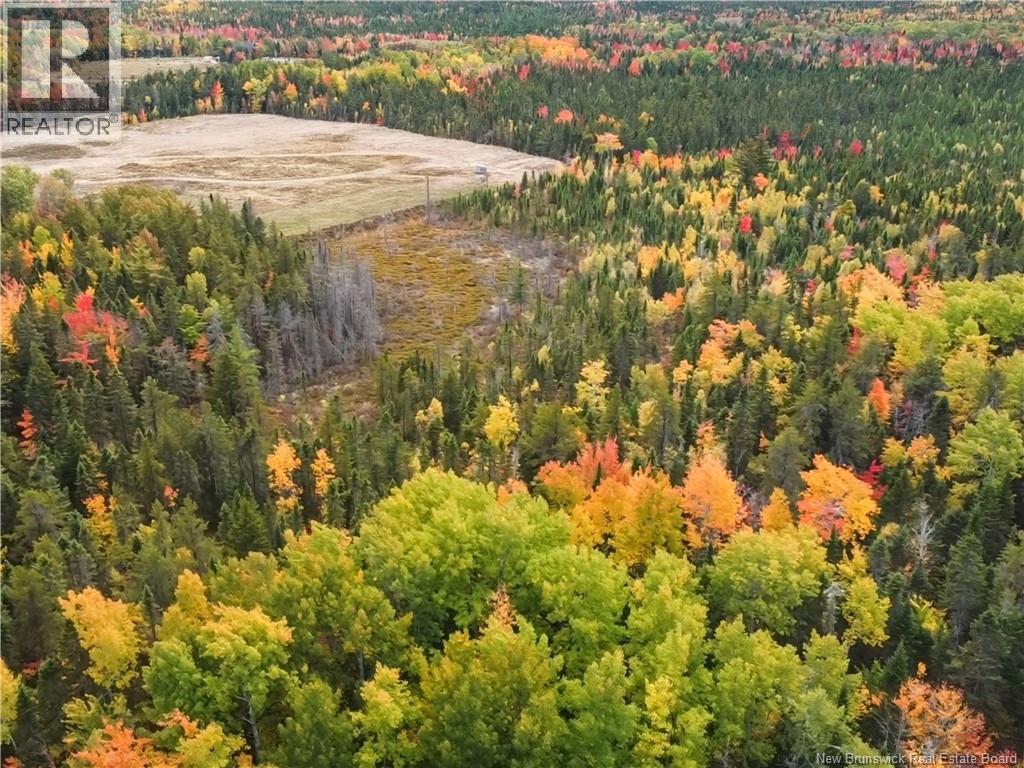 Photo of Listing #NB128069