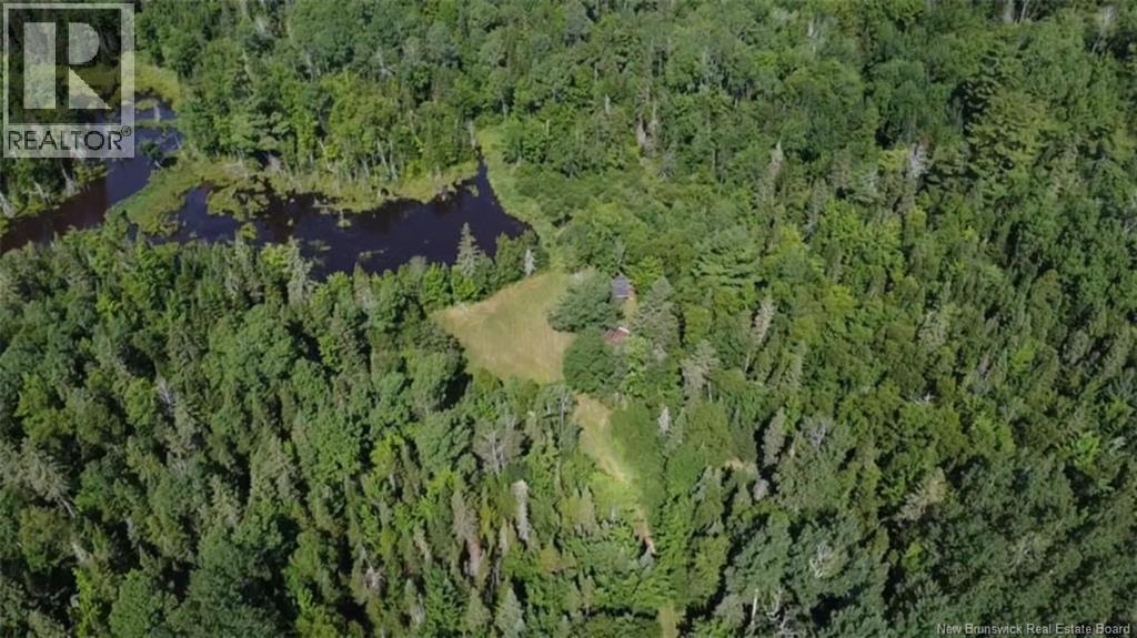 Photo of Listing #NB128037