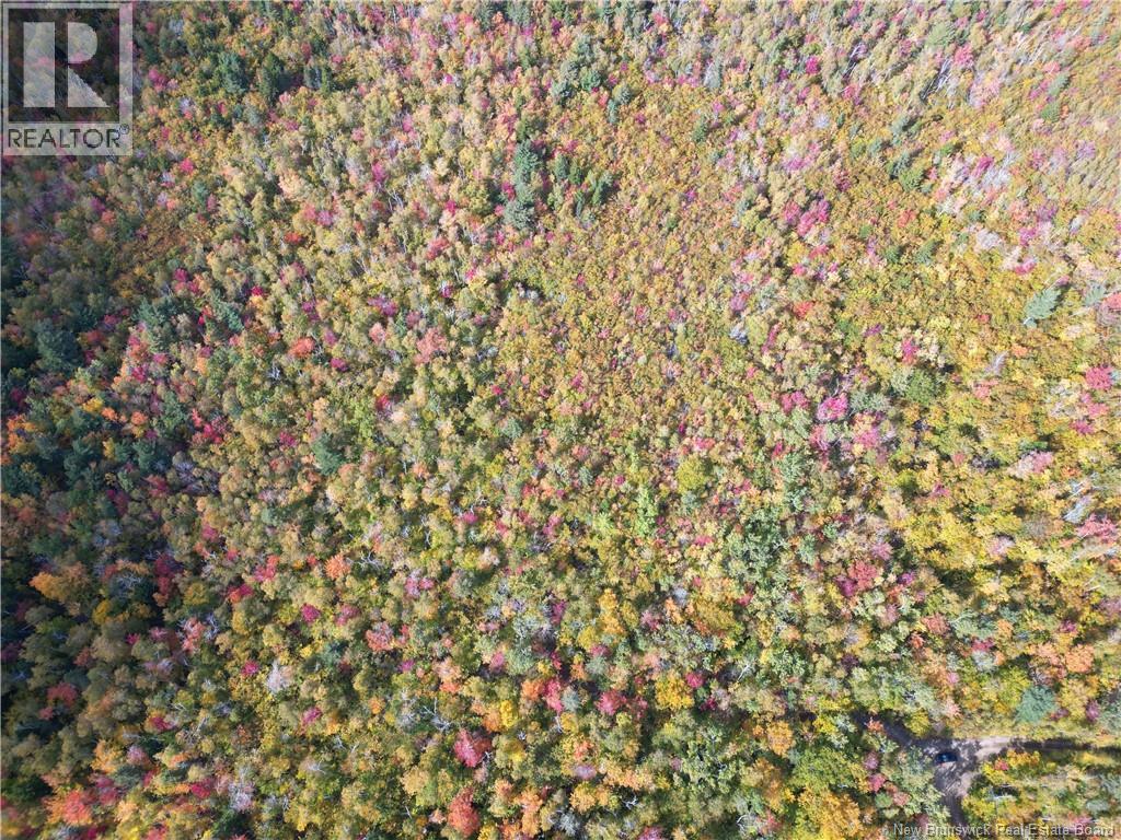 Photo of Listing #NB128103