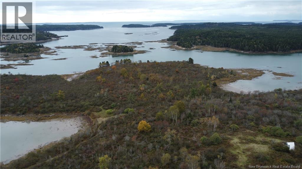 Photo of Listing #NB127779