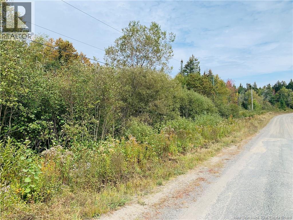 Photo of Listing #NB128176