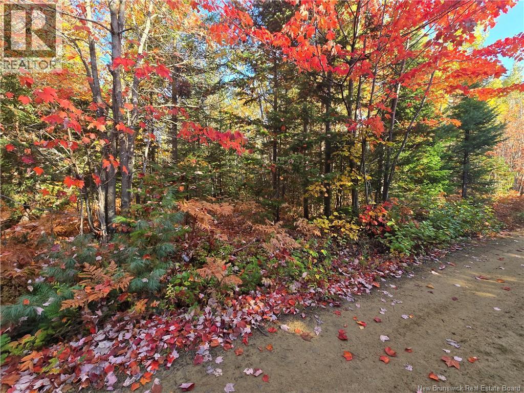 Photo of Listing #NB128142