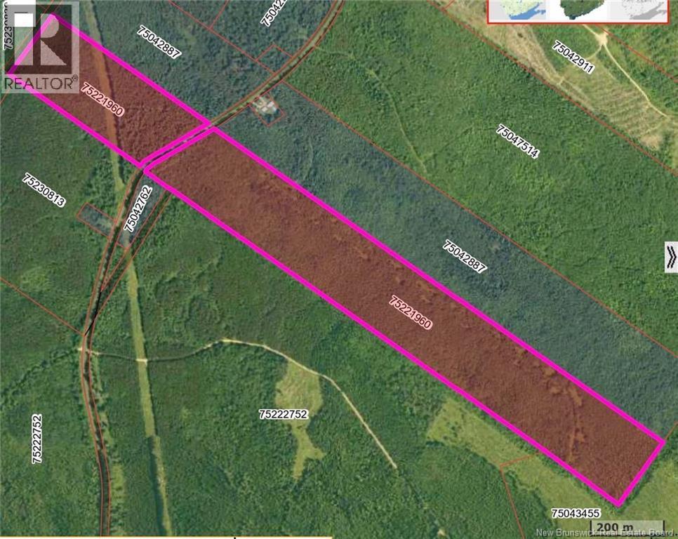 Photo of Listing #NB128204