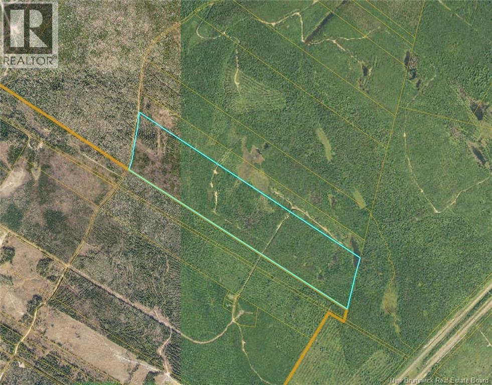 Photo of Listing #NB128201