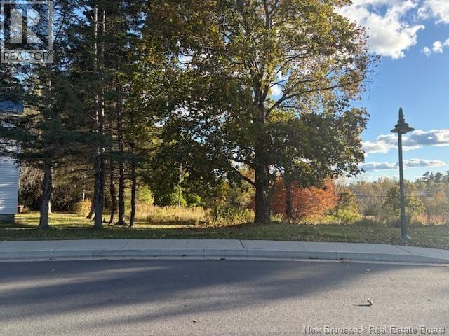 Photo of Listing #NB128315