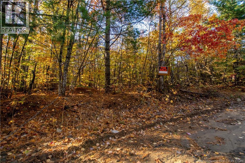 Photo of Listing #NB128281