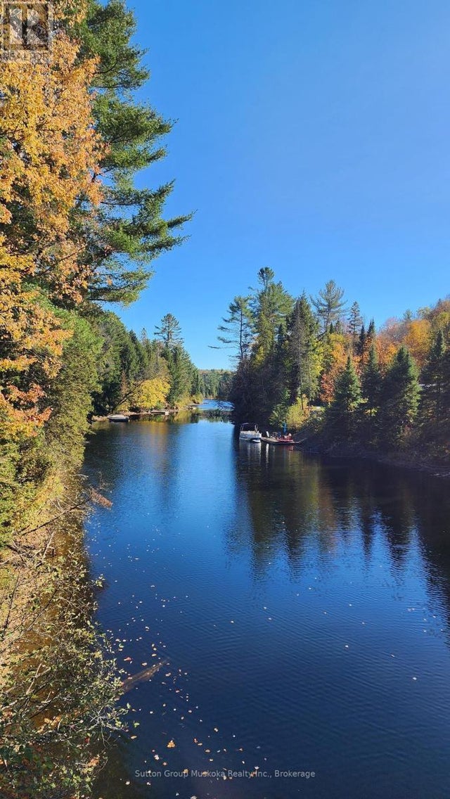 00 Red Pine Trail, Bracebridge (macaulay)