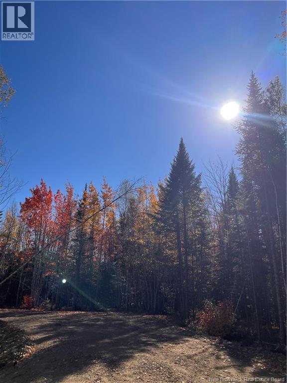 Photo of Listing #NB128322