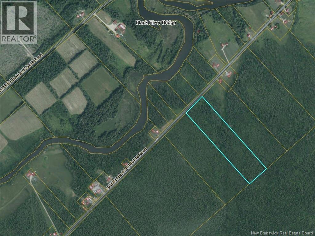 Photo of Listing #NB128551