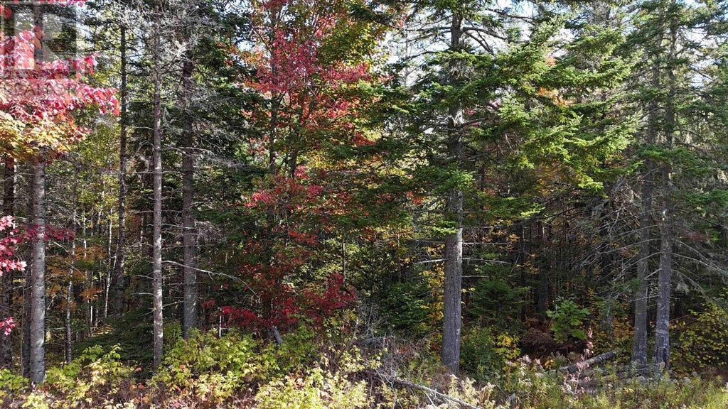 Lot Chesley Road, Barss Corner