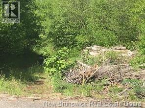 Photo of Listing #NB128607