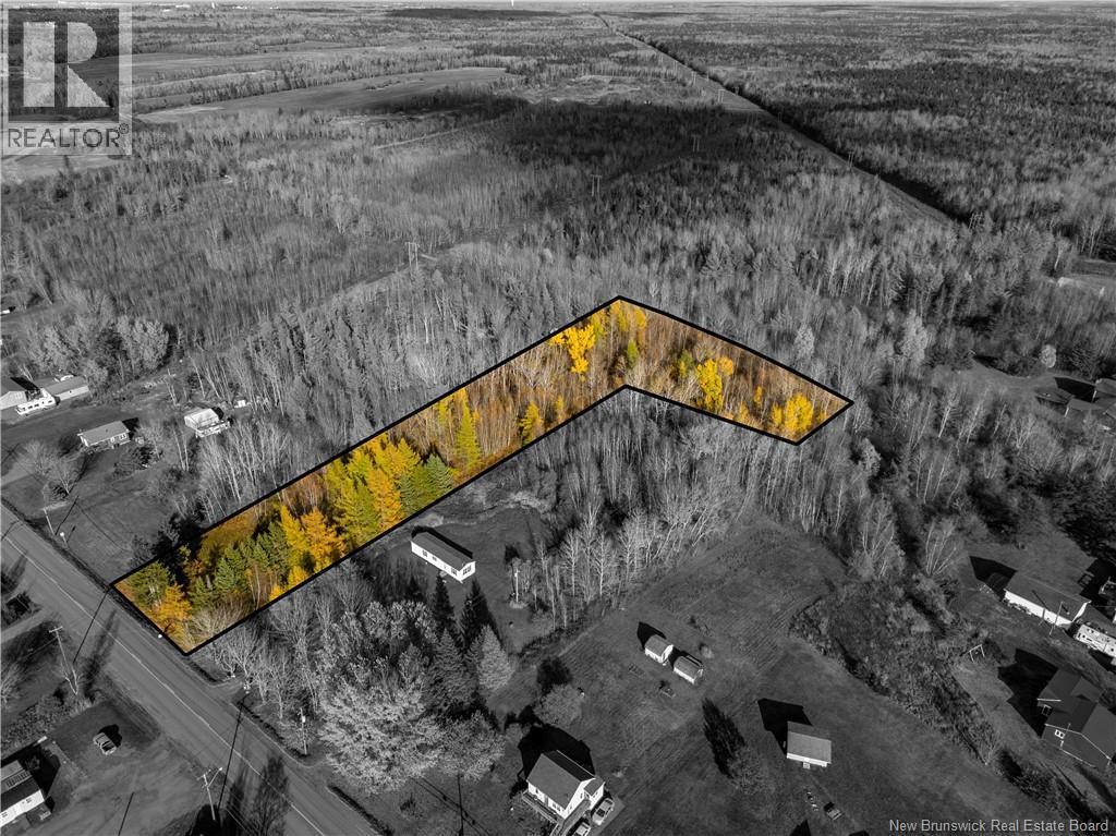 Photo of Listing #NB128687