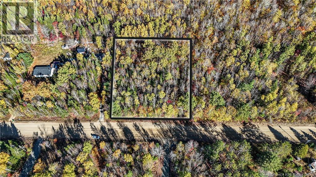 Photo of Listing #NB128635