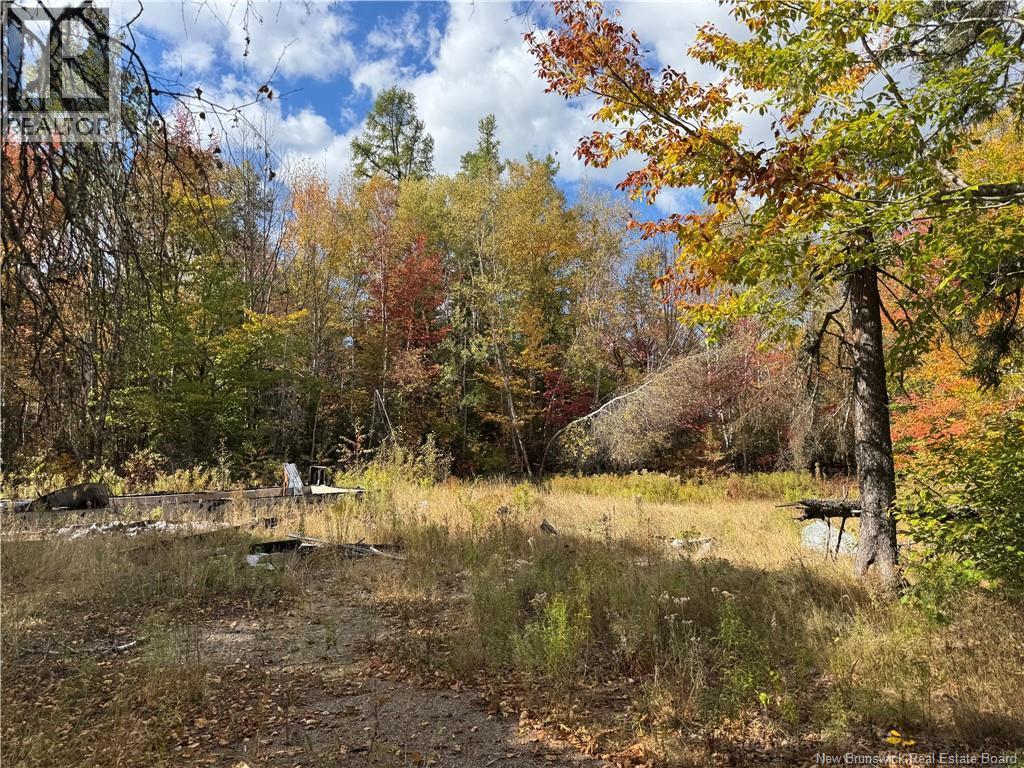 Photo of Listing #NB128726