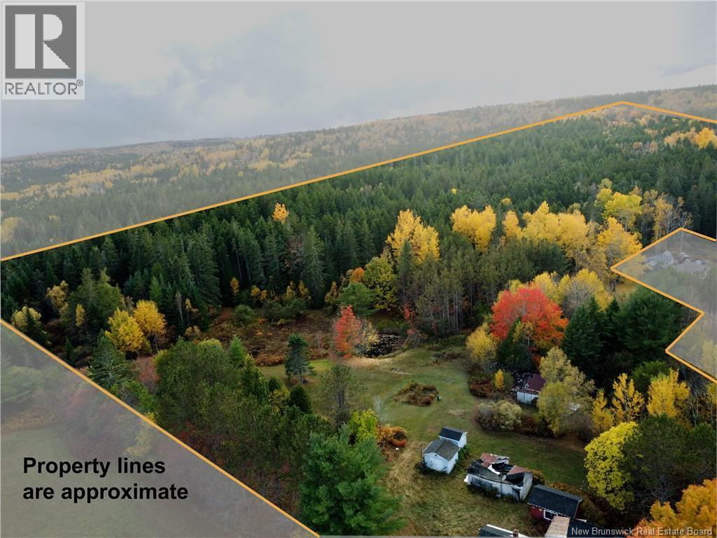 Photo of Listing #NB128835