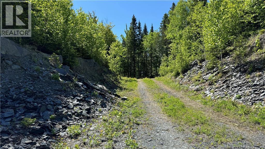 Photo of Listing #NB128970