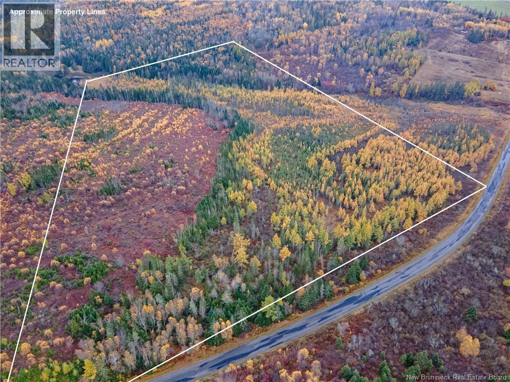 Photo of Listing #NB128979