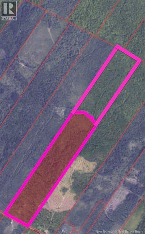 Photo of Listing #NB128987