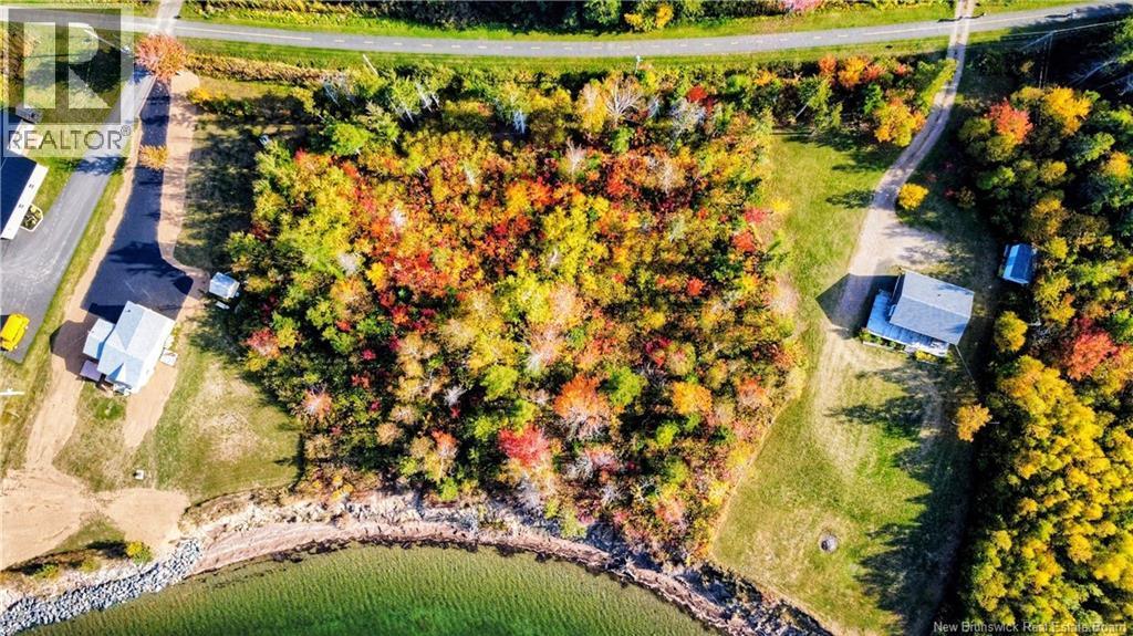 Photo of Listing #NB128984