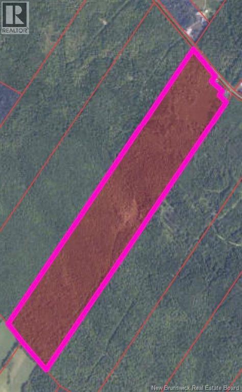 Photo of Listing #NB128972