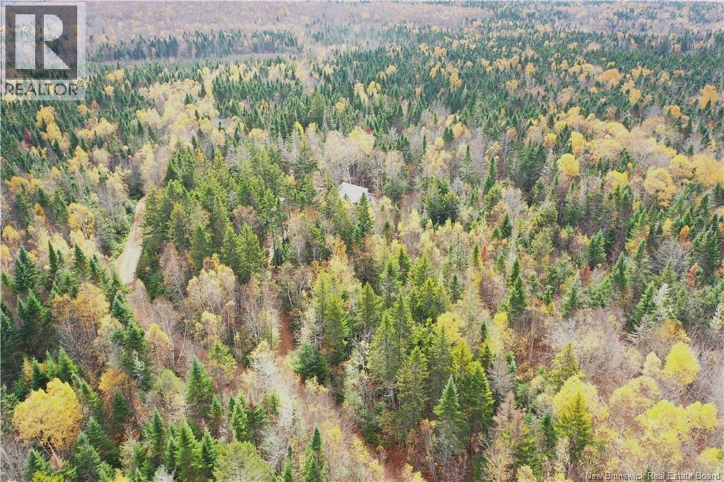 Photo of Listing #NB129062