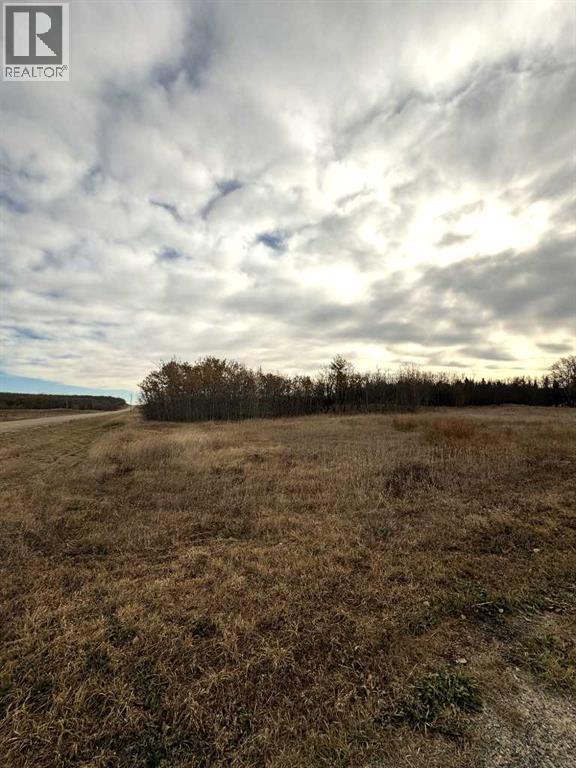 1, 15015 Township Road 424 Township, Rural Ponoka County