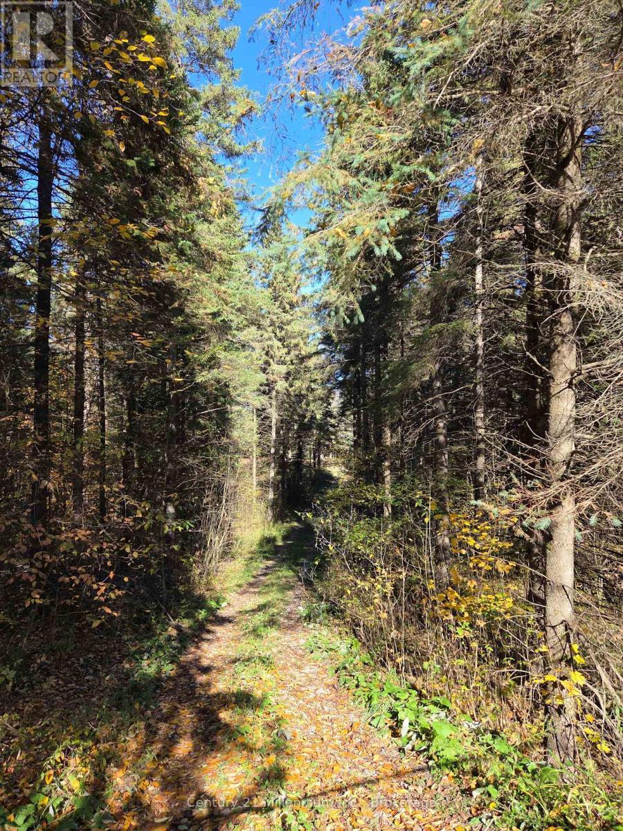 627383 15 Side Road, Mulmur