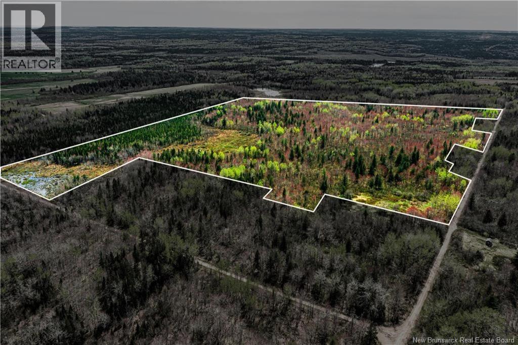 Lot Saint Damien, Saint-Damien