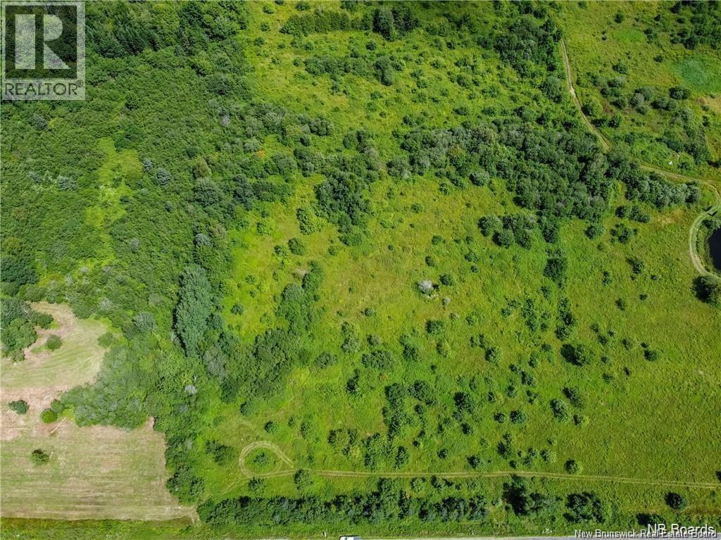 Photo of Listing #NB129140