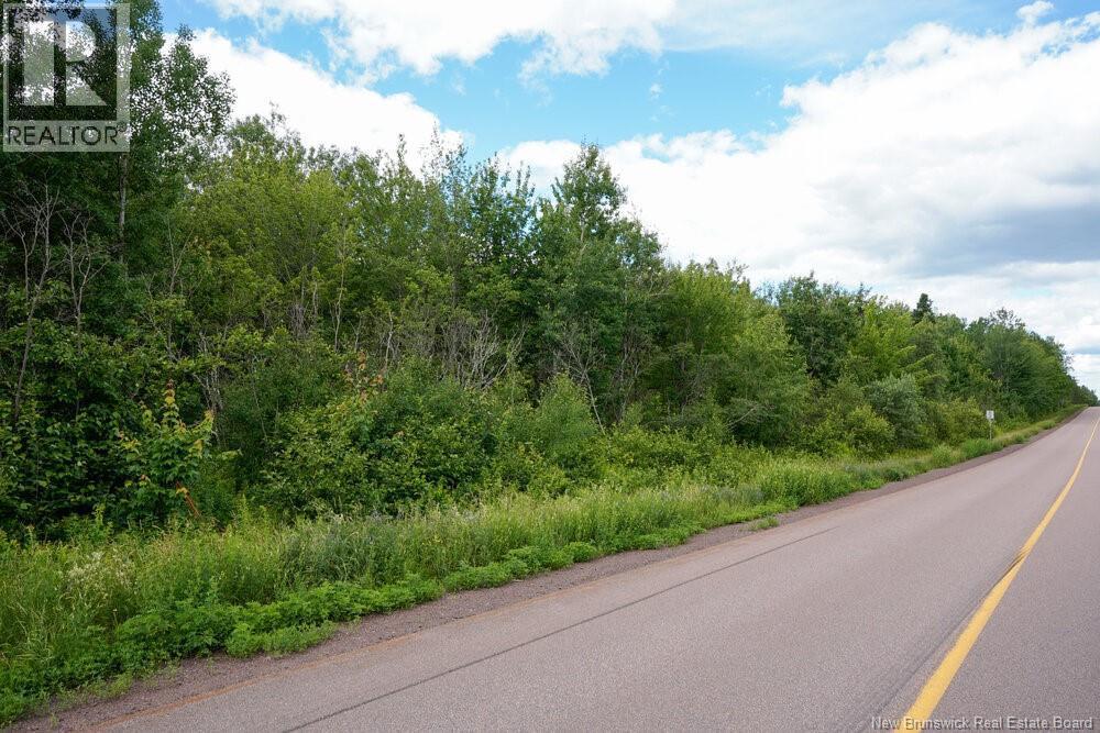 Photo of Listing #NB129166