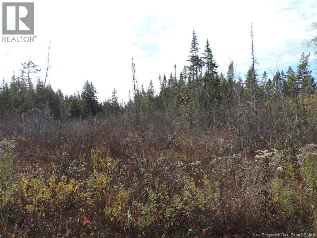 Photo of Listing #NB129248