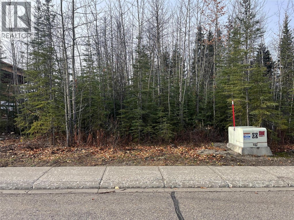 183 Wapiti Crescent, Tumbler Ridge