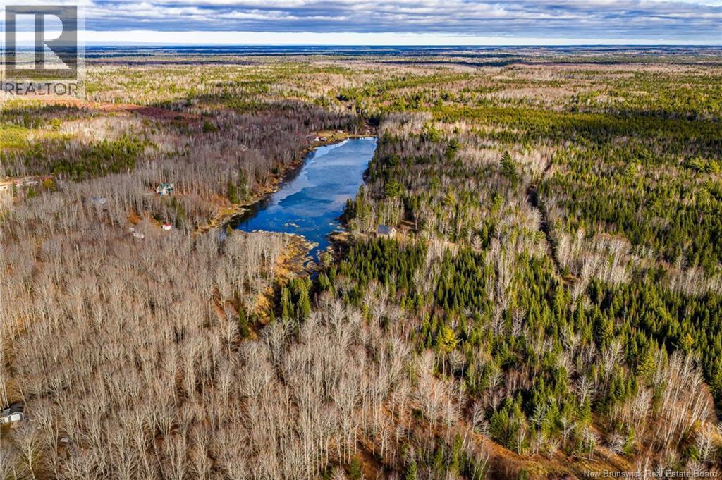 Photo of Listing #NB129269