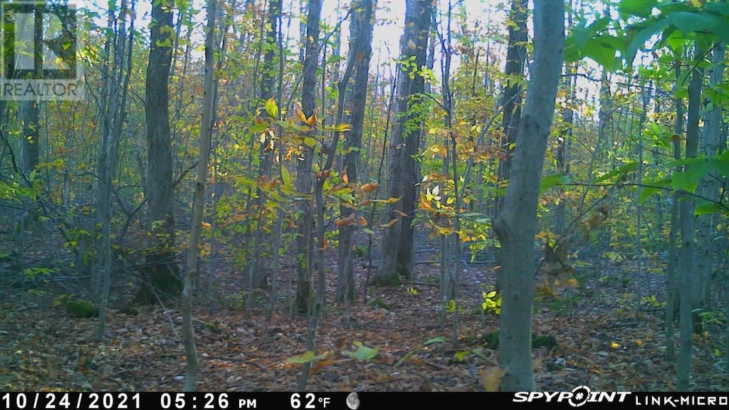 Ept Of W1/2 Sec Marlette Drive, Havilland