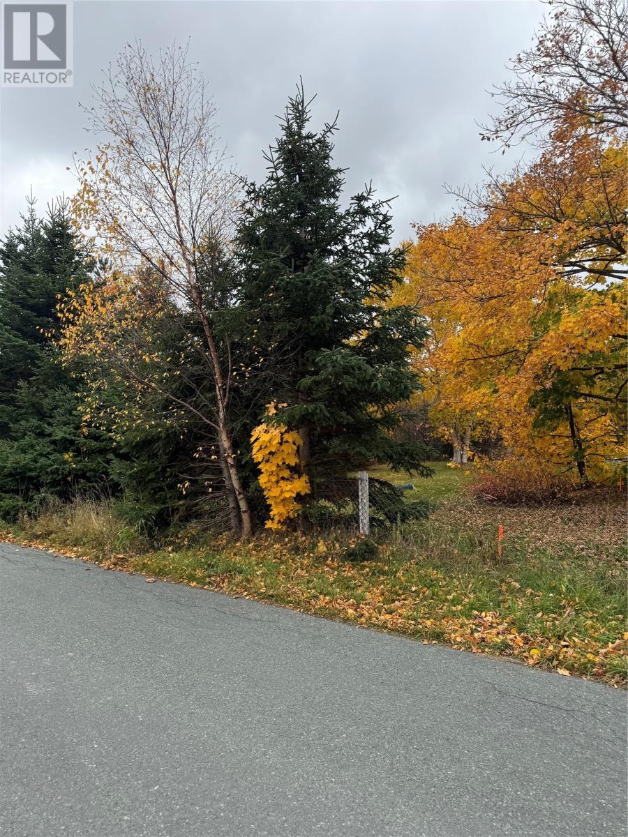 32c Cluneys Road, Conception Bay South