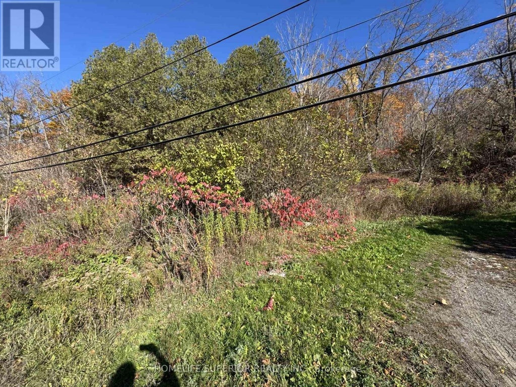 58 Main Street, Marmora And Lake (marmora Ward)