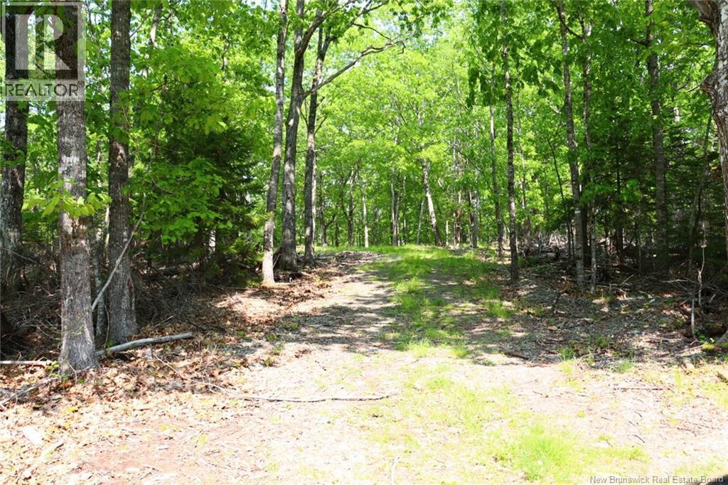 Hills Point Road, St. Stephen