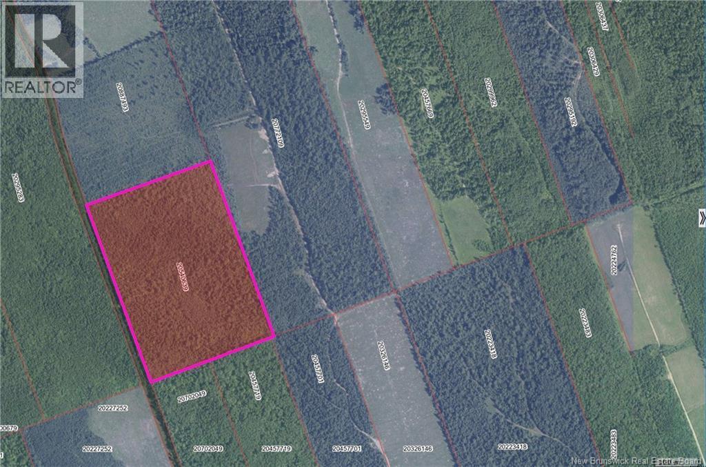 Photo of Listing #NB129436