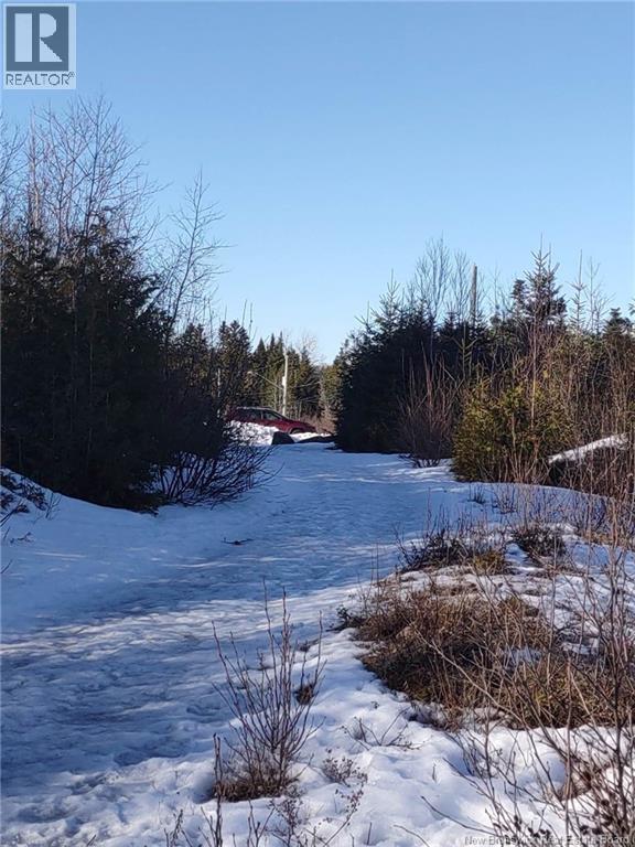 Photo of Listing #NB129400